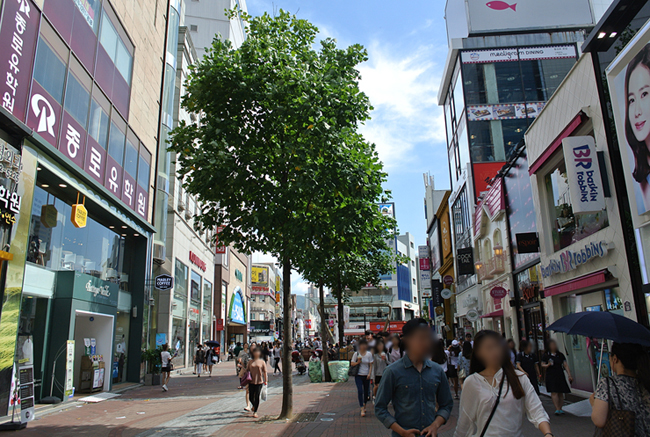 DSC_2624.JPG